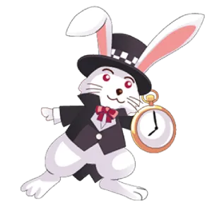 Rabbit Portrait